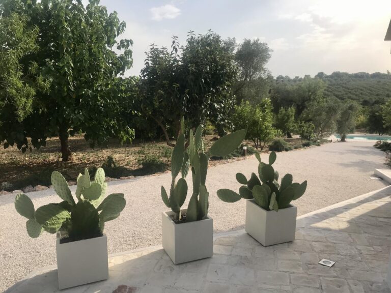 Trulli delle Stelle