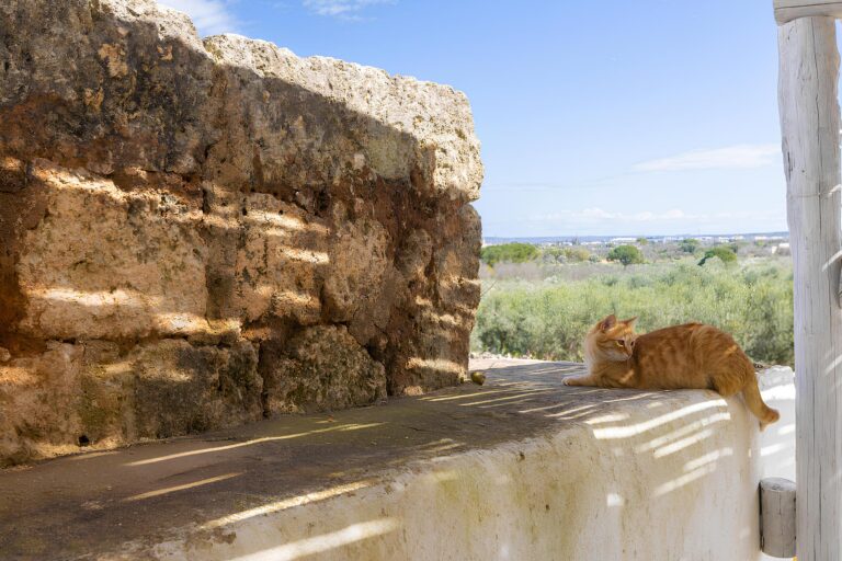 Masseria Dipinto di Blù