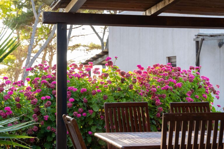 Appartamento Lucentia Blu