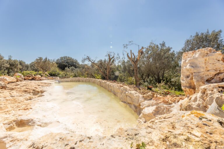 Villa Pietra d'Ulivo