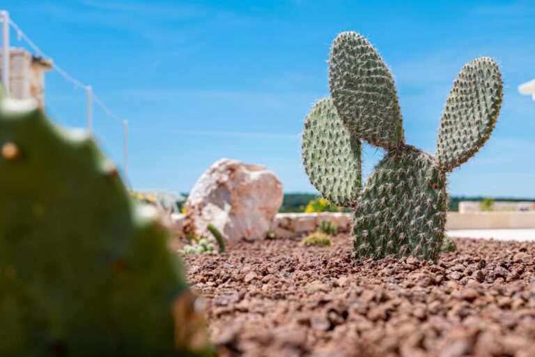 Trullo La Vita è Bella