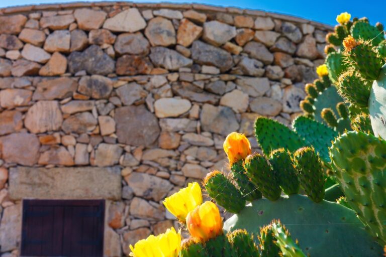 Trullo macchie