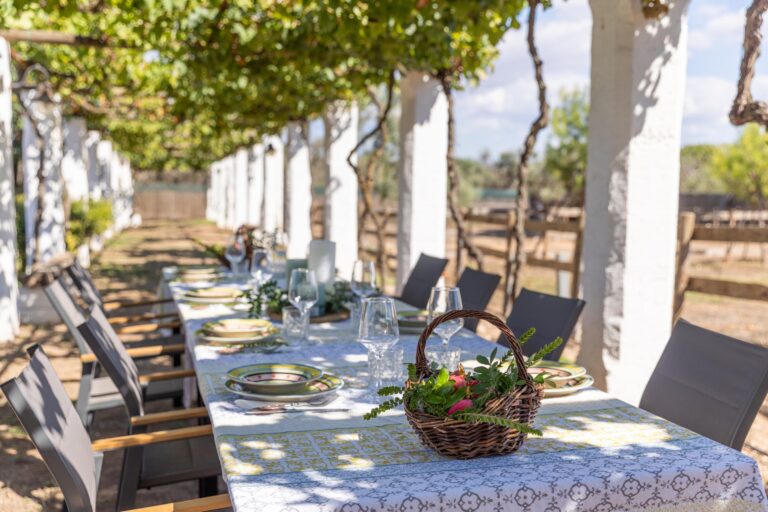 Tenuta Aphrodite